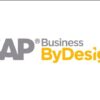 Support and solve problems for sap business by design