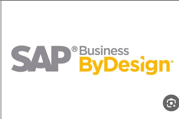 Support and solve problems for sap business by design